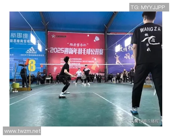 北京羽毛球队的奋斗历程与辉煌成就杯赛特别报道