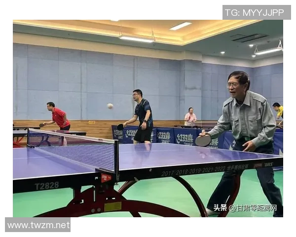 南京乒乓球队的训练与备战揭秘展现乒乓球的魅力与激情