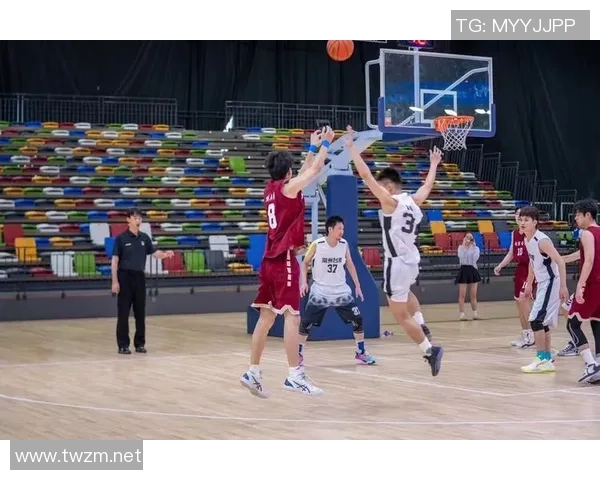 篮球战术排名：南京篮球队创新高