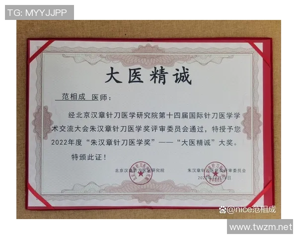 羽毛球巨献：探秘北京羽毛球队的比赛经验